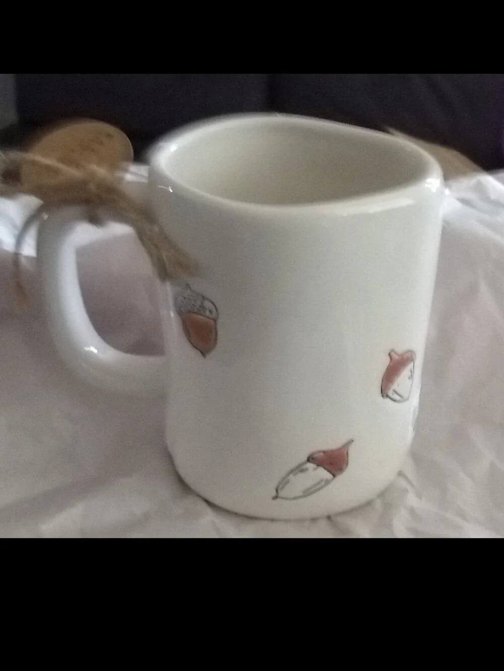 Rae Dunn Acorns A Little Bit Nutty White Ceramic Mug - Painted Design
